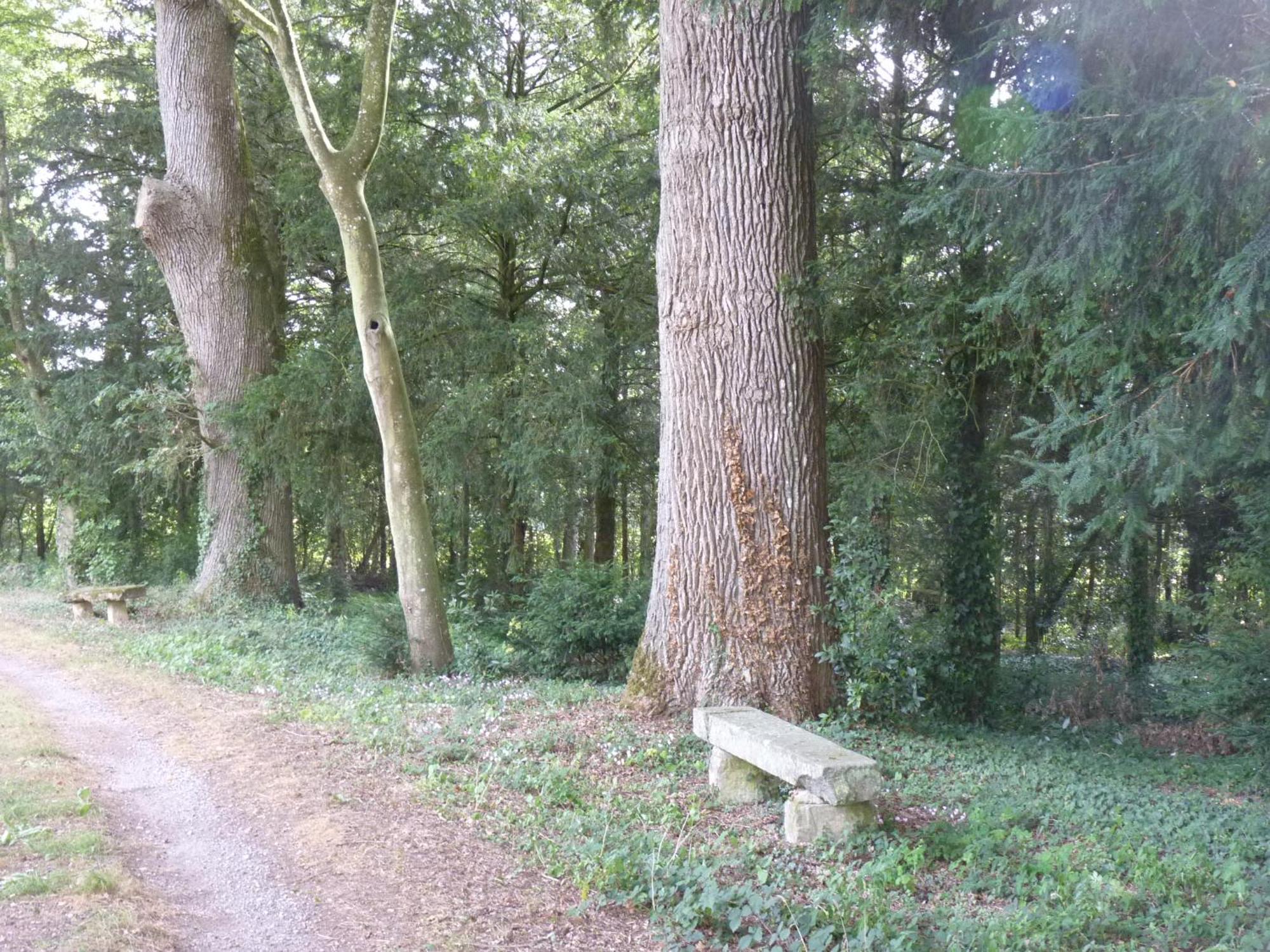 Chateau De Craon Comblessac Exteriör bild