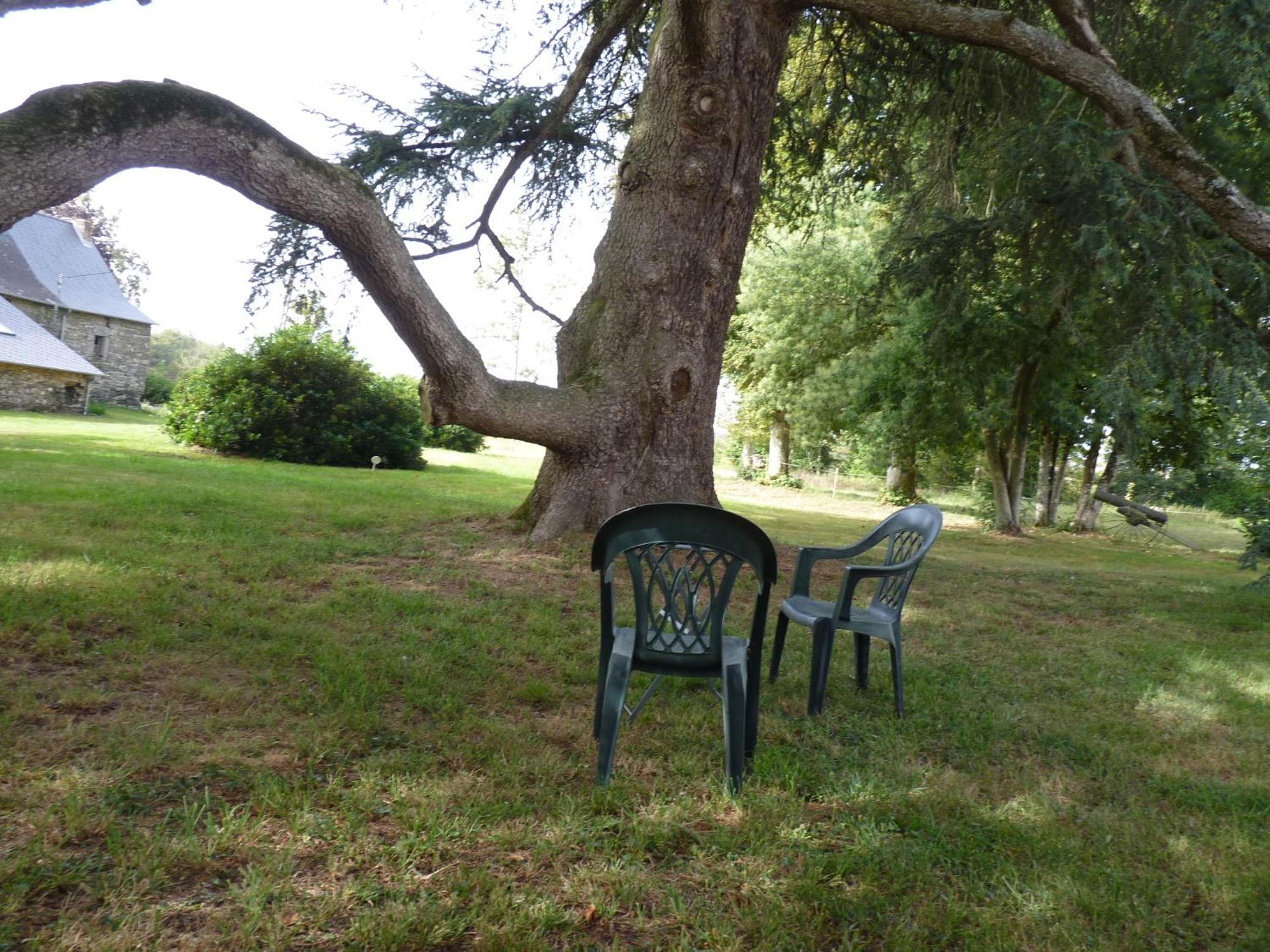 Chateau De Craon Comblessac Exteriör bild